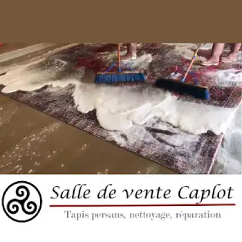 Nettoyage de tapis 75 à Paris